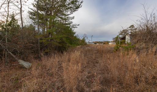 Photo #19 of SOLD property in Off McGees Mill Road, Semora, NC 21.2 acres