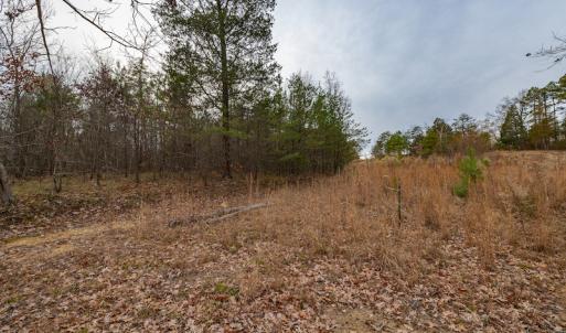 Photo #20 of SOLD property in Off McGees Mill Road, Semora, NC 21.2 acres