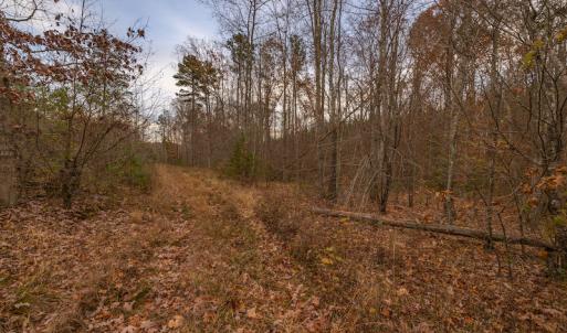 Photo #22 of SOLD property in Off McGees Mill Road, Semora, NC 21.2 acres