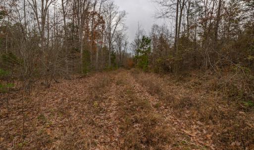 Photo #23 of SOLD property in Off McGees Mill Road, Semora, NC 21.2 acres
