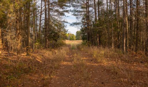 Photo #24 of SOLD property in Off McGees Mill Road, Semora, NC 21.2 acres