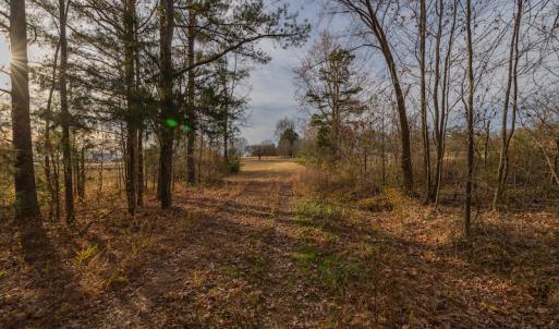 Photo #25 of SOLD property in Off McGees Mill Road, Semora, NC 21.2 acres