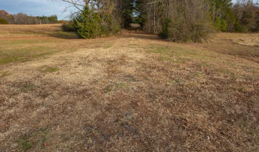 Photo #26 of SOLD property in Off McGees Mill Road, Semora, NC 21.2 acres