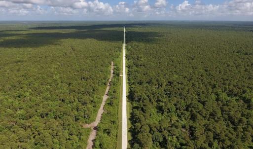 Photo #3 of SOLD property in Off New Lake Road, Belhaven, NC 59.1 acres