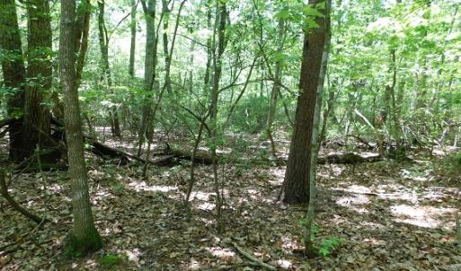 Photo #7 of SOLD property in Off Taylor View Road, Patrick Springs, VA 21.0 acres
