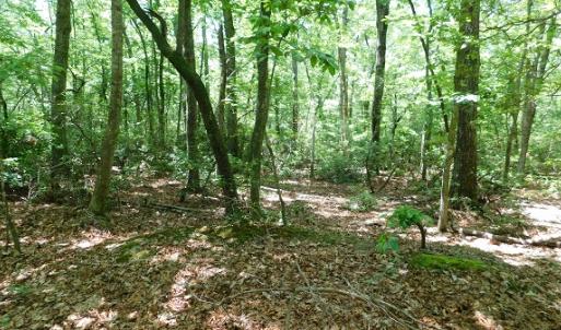 Photo #8 of SOLD property in Off Taylor View Road, Patrick Springs, VA 21.0 acres
