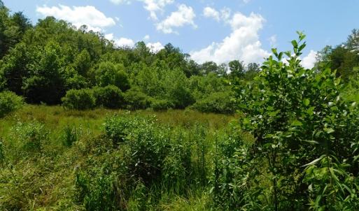Photo #21 of SOLD property in Off Taylor View Road, Patrick Springs, VA 21.0 acres