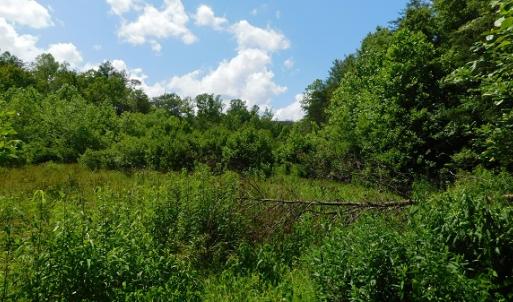 Photo #23 of SOLD property in Off Taylor View Road, Patrick Springs, VA 21.0 acres