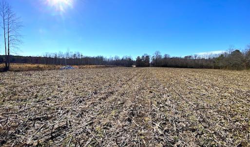 Photo #5 of SOLD property in Spivey Run Road, Suffolk, VA 1.0 acres