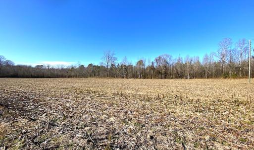 Photo #6 of SOLD property in Spivey Run Road, Suffolk, VA 1.0 acres
