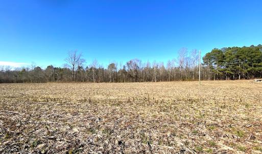 Photo #7 of SOLD property in Spivey Run Road, Suffolk, VA 1.0 acres