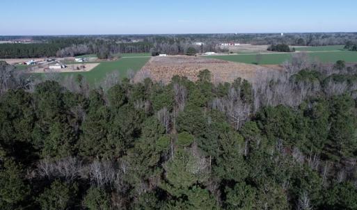 Photo #4 of SOLD property in Off Highway 130 Bypass, Fairmont, NC 10.3 acres