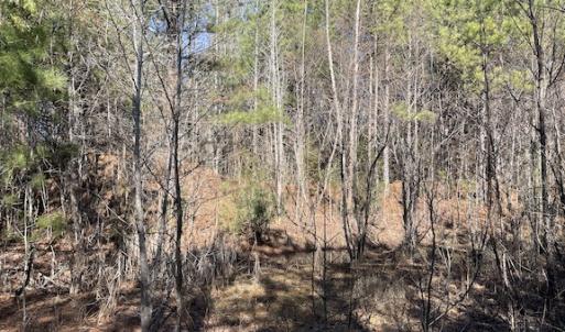 Photo #12 of SOLD property in Off Little Mill Road, Jarratt, VA 30.0 acres