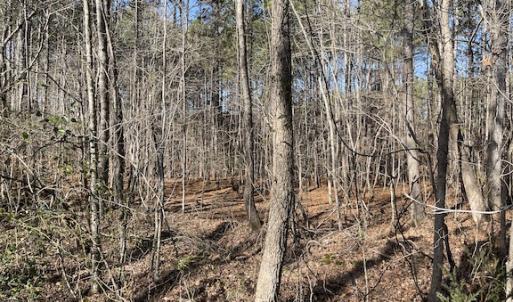 Photo #14 of SOLD property in Off Little Mill Road, Jarratt, VA 30.0 acres