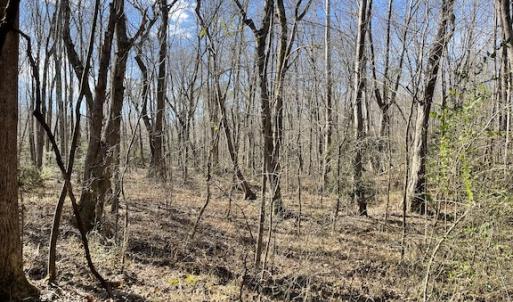 Photo #15 of SOLD property in Off Little Mill Road, Jarratt, VA 30.0 acres