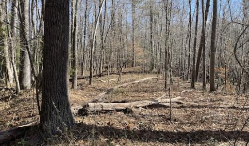 Photo #18 of SOLD property in Off Little Mill Road, Jarratt, VA 30.0 acres