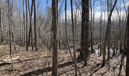 Photo #19 of SOLD property in Off Little Mill Road, Jarratt, VA 30.0 acres
