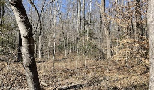 Photo #20 of SOLD property in Off Little Mill Road, Jarratt, VA 30.0 acres
