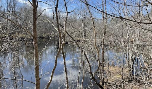 Photo #21 of SOLD property in Off Little Mill Road, Jarratt, VA 30.0 acres