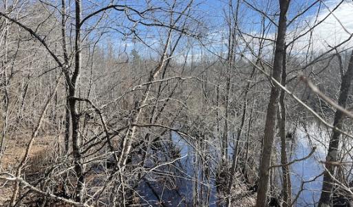 Photo #22 of SOLD property in Off Little Mill Road, Jarratt, VA 30.0 acres