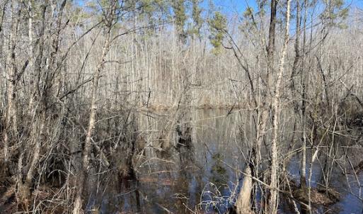 Photo #23 of SOLD property in Off Little Mill Road, Jarratt, VA 30.0 acres