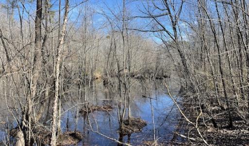 Photo #24 of SOLD property in Off Little Mill Road, Jarratt, VA 30.0 acres