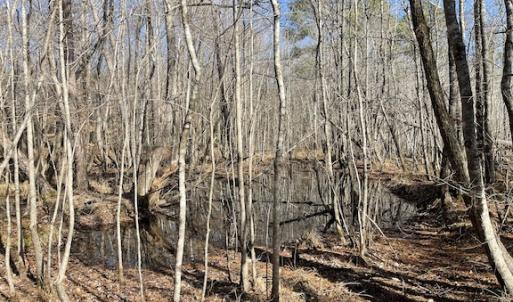Photo #25 of SOLD property in Off Little Mill Road, Jarratt, VA 30.0 acres