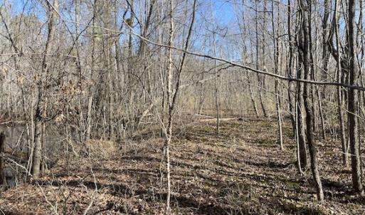 Photo #26 of SOLD property in Off Little Mill Road, Jarratt, VA 30.0 acres