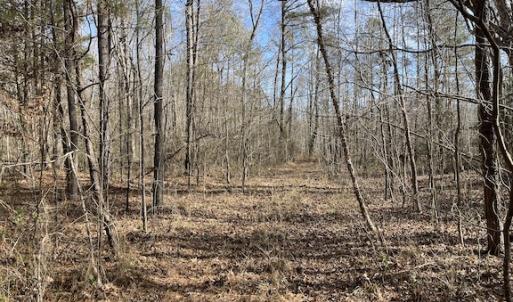 Photo #27 of SOLD property in Off Little Mill Road, Jarratt, VA 30.0 acres