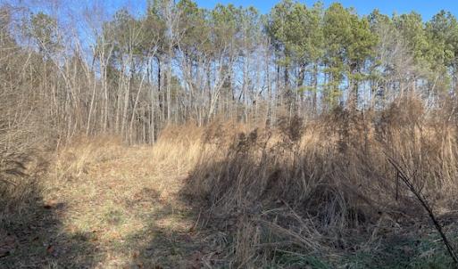 Photo #4 of SOLD property in Off Little Mill Road, Jarratt, VA 30.0 acres