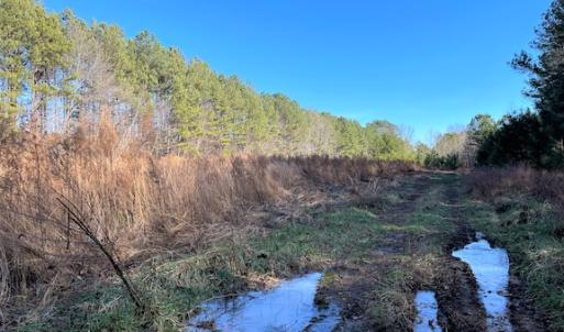 Photo #5 of SOLD property in Off Little Mill Road, Jarratt, VA 30.0 acres