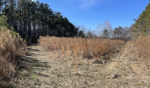 Photo #8 of SOLD property in Off Little Mill Road, Jarratt, VA 30.0 acres