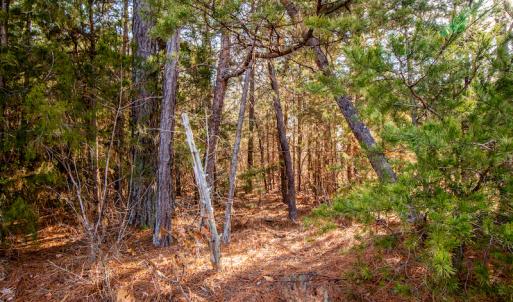 Photo #13 of SOLD property in Off Shep Royster Road, Oxford, NC 20.1 acres