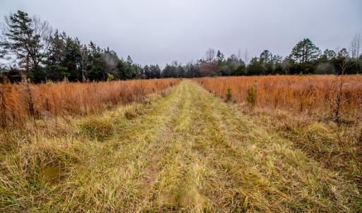 Photo #14 of SOLD property in Off Shep Royster Road, Oxford, NC 20.1 acres