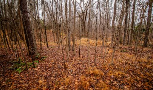 Photo #15 of SOLD property in Off Shep Royster Road, Oxford, NC 20.1 acres