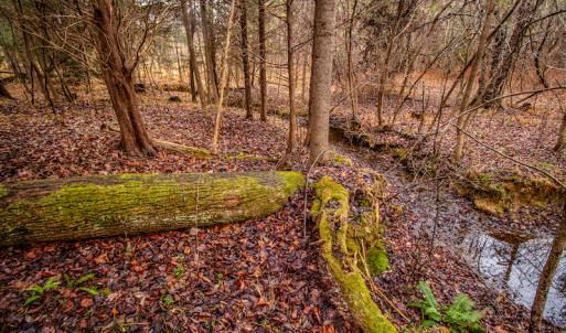 Photo #16 of SOLD property in Off Shep Royster Road, Oxford, NC 20.1 acres