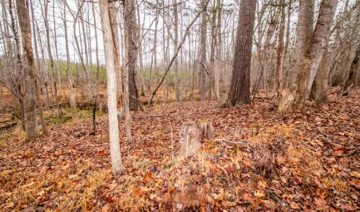 Photo #17 of SOLD property in Off Shep Royster Road, Oxford, NC 20.1 acres