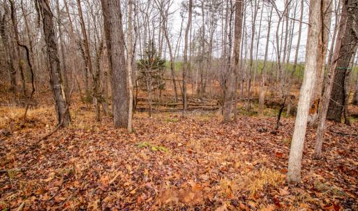 Photo #18 of SOLD property in Off Shep Royster Road, Oxford, NC 20.1 acres
