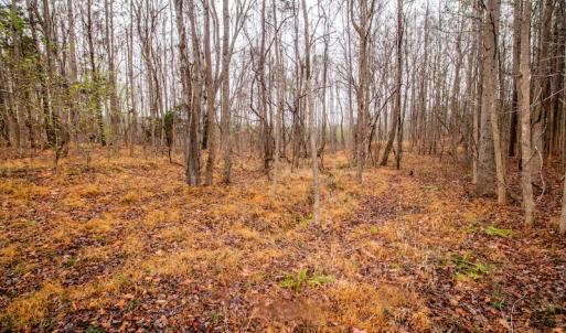 Photo #19 of SOLD property in Off Shep Royster Road, Oxford, NC 20.1 acres