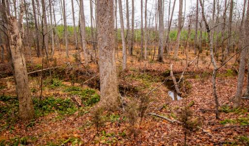 Photo #20 of SOLD property in Off Shep Royster Road, Oxford, NC 20.1 acres