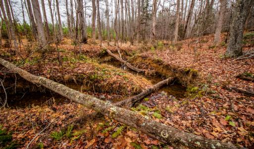 Photo #21 of SOLD property in Off Shep Royster Road, Oxford, NC 20.1 acres