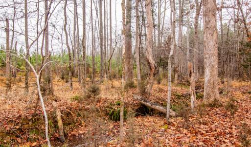 Photo #22 of SOLD property in Off Shep Royster Road, Oxford, NC 20.1 acres
