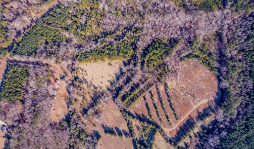 Photo #5 of SOLD property in Off Shep Royster Road, Oxford, NC 20.1 acres