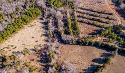 Photo #6 of SOLD property in Off Shep Royster Road, Oxford, NC 20.1 acres