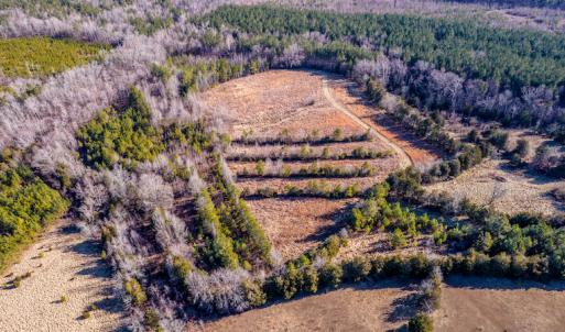 Photo #8 of SOLD property in Off Shep Royster Road, Oxford, NC 20.1 acres