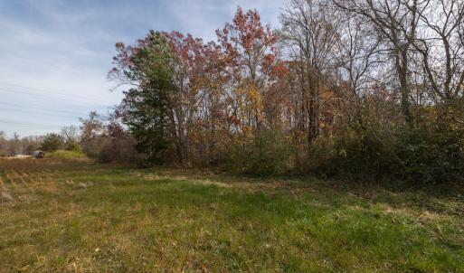 Photo #16 of SOLD property in Off Halifax Road, Roxboro, NC 21.3 acres
