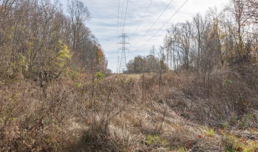 Photo #18 of SOLD property in Off Halifax Road, Roxboro, NC 21.3 acres
