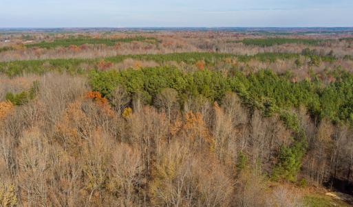 Photo #7 of SOLD property in Off Halifax Road, Roxboro, NC 21.3 acres