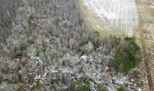 Photo #4 of SOLD property in Off White Marsh Road, Suffolk, VA 13.5 acres