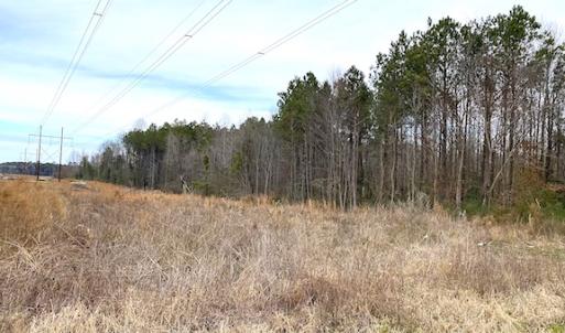 Photo #8 of SOLD property in Off White Marsh Road, Suffolk, VA 13.5 acres